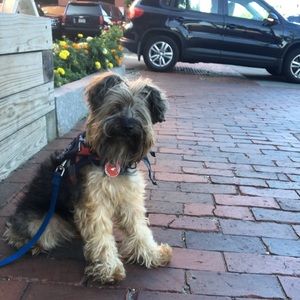 Meet your Posher, Rachel